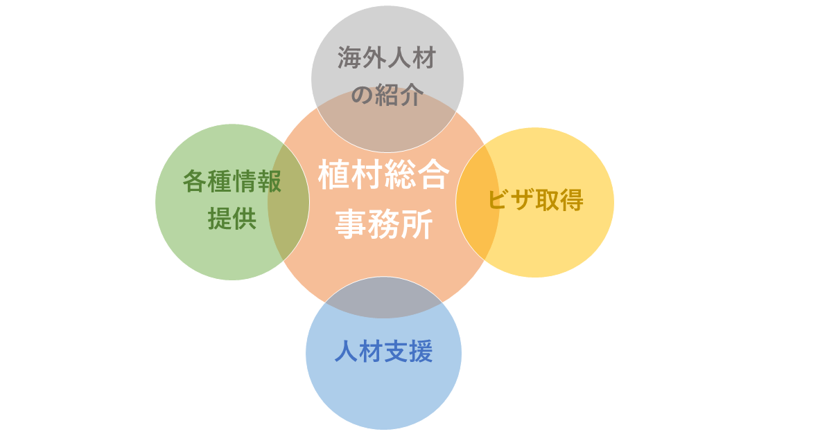 植村総合事務所　特定技能ビザ