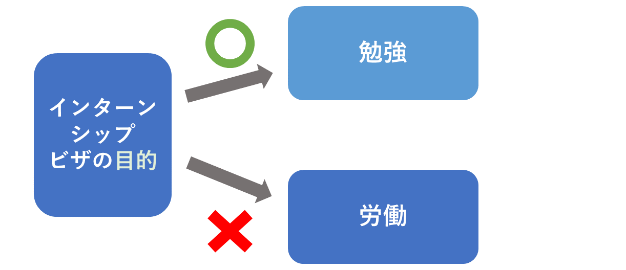 インターンシップビザの目的