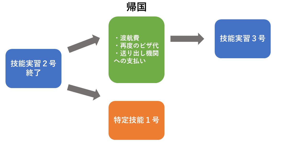 技能実習2号を終了した後の選択